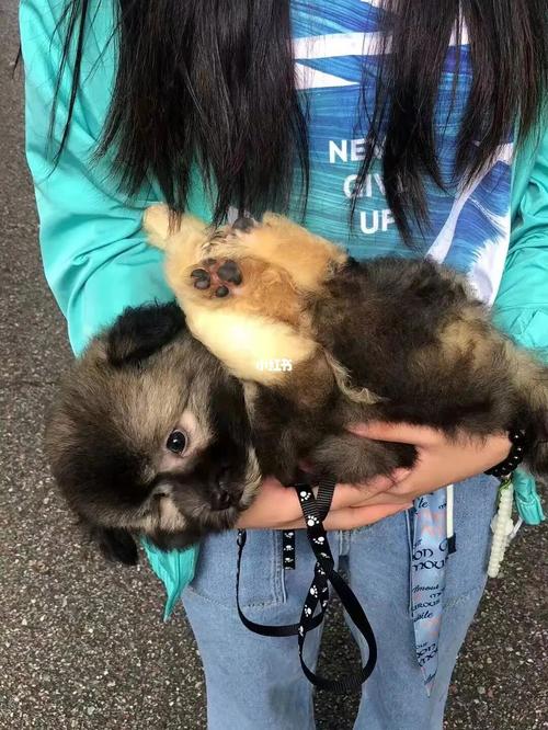 20221113171123_65385 20221113171123_65385