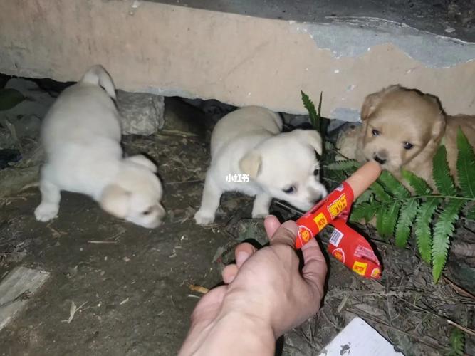 20221113171124_76317 20221113171124_76317