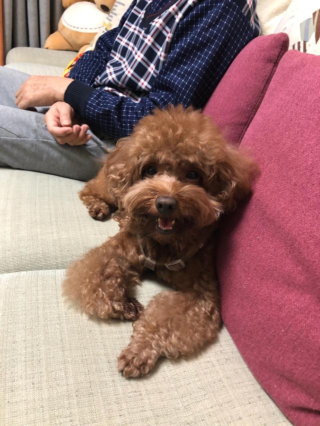 20221113194936_67595