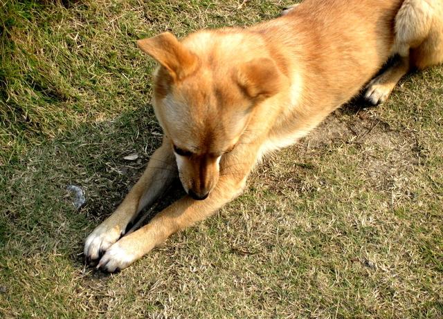 20221113200628_71986