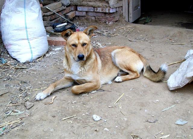 20221113200628_81461