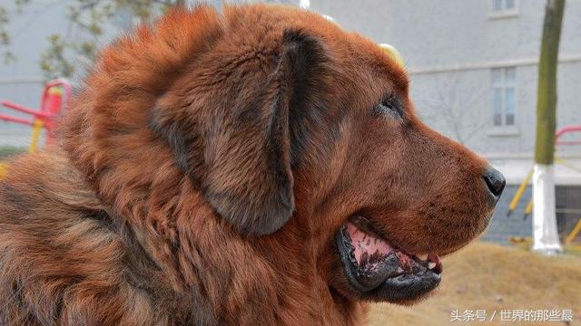 20221113215613_40152