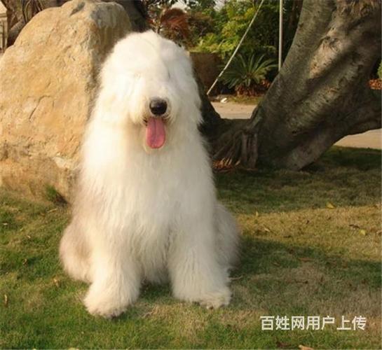 20221113221448_95352