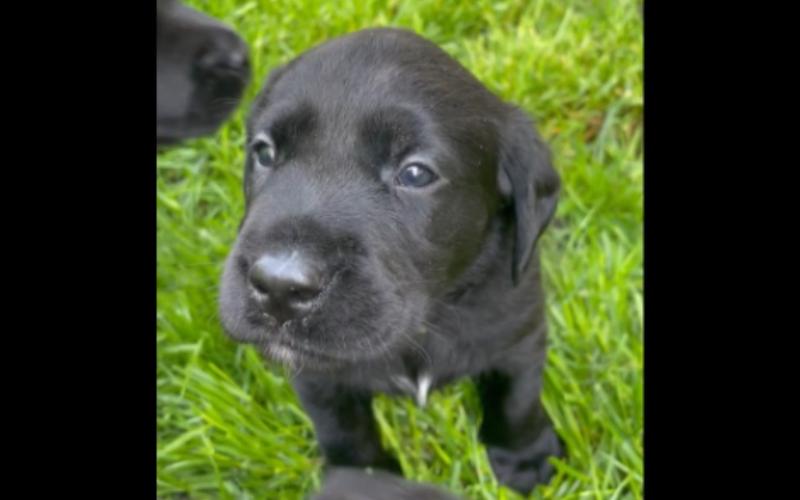 20221113221954_37578