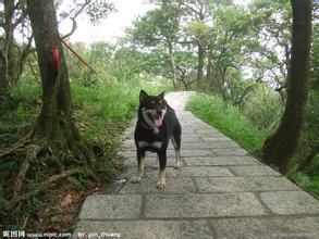 20221114084501_82795 20221114084501_82795