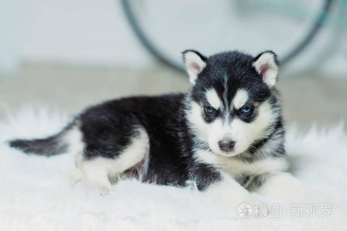 20221114084502_58942 20221114084502_58942