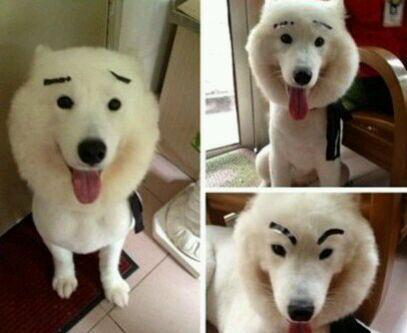 20221114091335_91908 20221114091335_91908