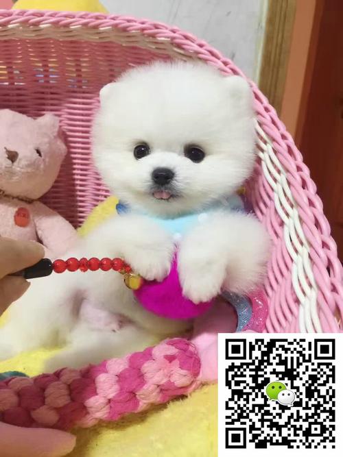 20221114105525_27998