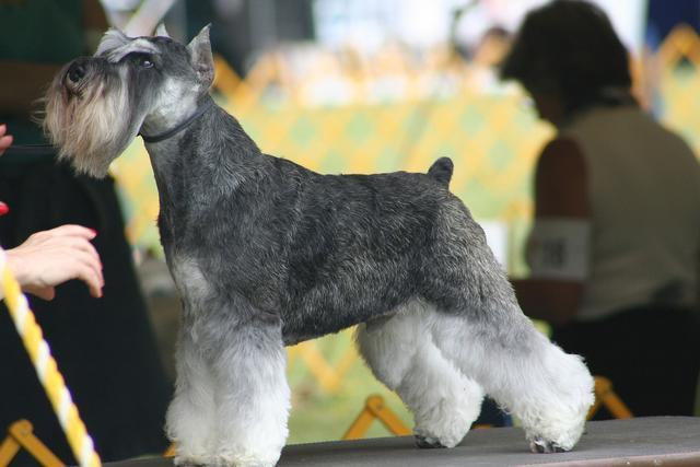 20221114123716_22214 20221114123716_22214