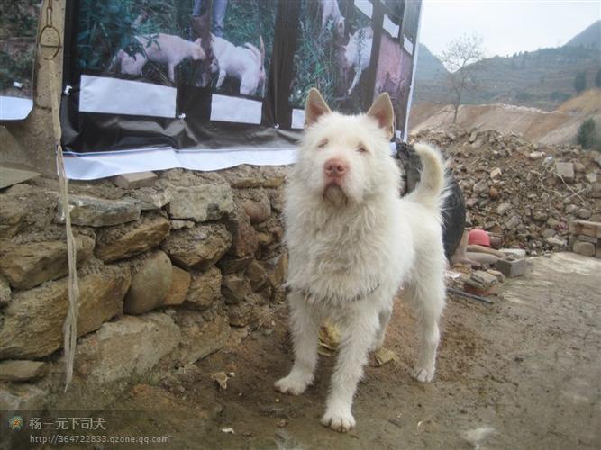 20221114125227_13619 20221114125227_13619