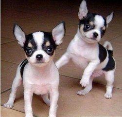 20221114131319_75228