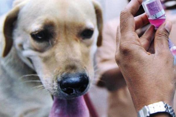 20221114133640_11408 20221114133640_11408