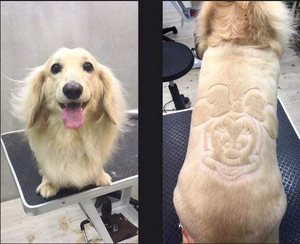 20221114144326_14516 20221114144326_14516