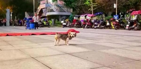 20221114144440_46386 20221114144440_46386