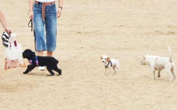 20221114144440_67259 20221114144440_67259