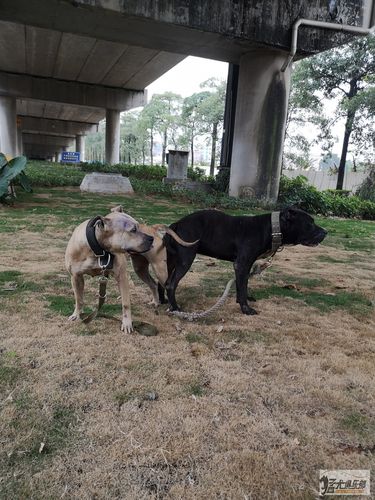 20221114173406_94129