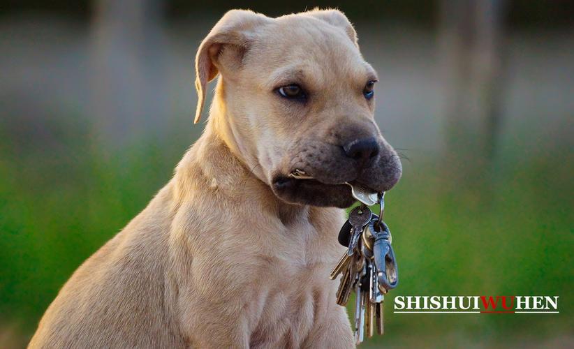 20221114173407_67156