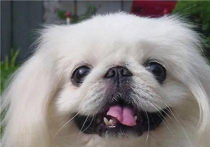 20221114180514_30681 20221114180514_30681