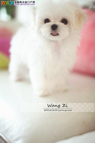 20221114180515_75815 20221114180515_75815