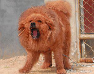 20221114193430_85746