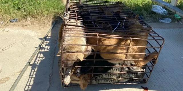 20221114193618_48338