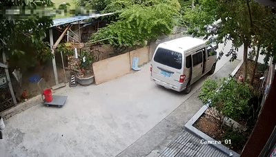 东莞狗狗(东莞狗狗救助站在哪里)-警犬训练器材厂家 _警犬训练用品_工作犬训练用品-南京开久警犬装备