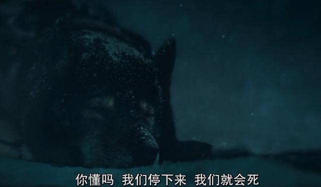 20221114194717_86188