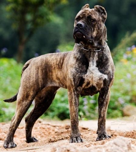 20221114215426_11477 20221114215426_11477