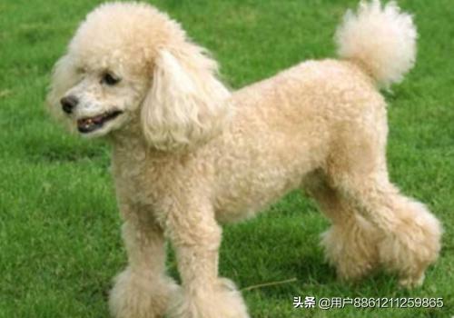 20221114221643_72920