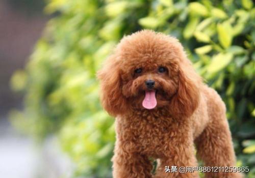 20221114221644_45133