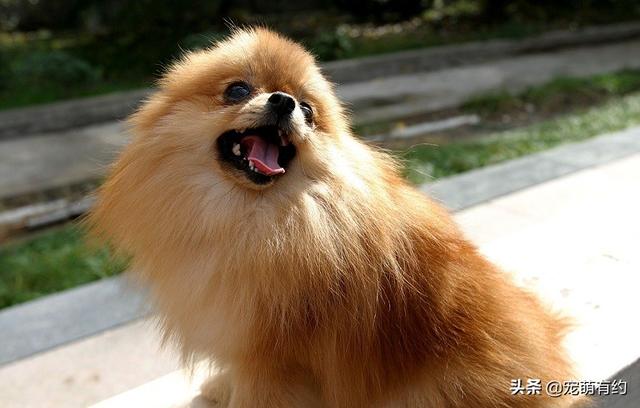 20221115092805_20410 20221115092805_20410