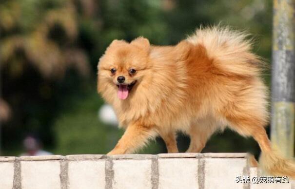 20221115092805_27776 20221115092805_27776