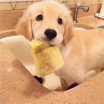 20221115094445_60148