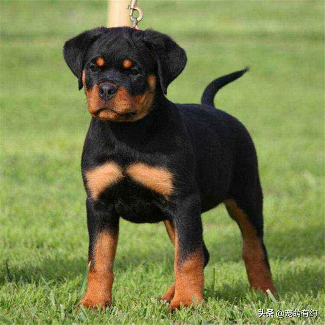 20221115100748_65937