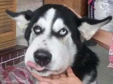 20221115110021_77390