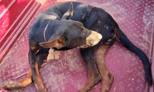 20221115114551_62094