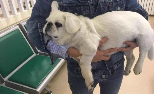 20221115114552_76913