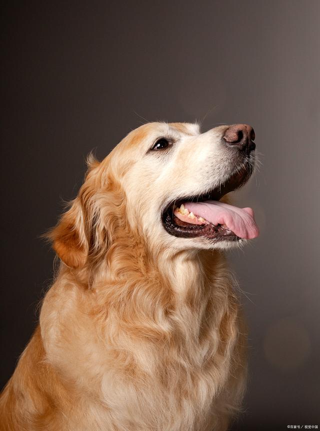 20221115115846_75945 20221115115846_75945