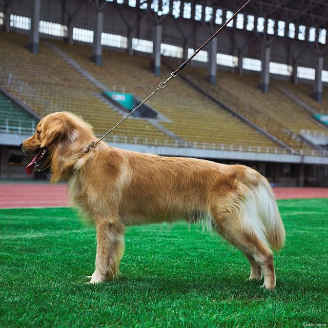 20221115115847_19241 20221115115847_19241