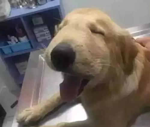 20221115121845_20720