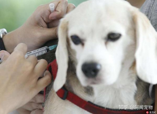 20221115125906_22119 20221115125906_22119