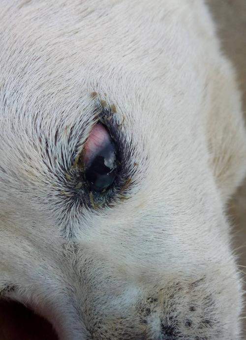 20221115125906_39788 20221115125906_39788