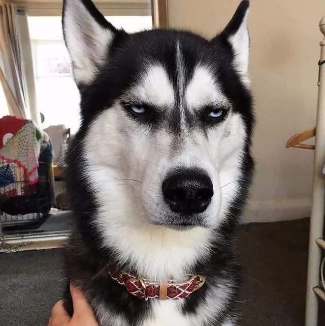 20221115134726_31665