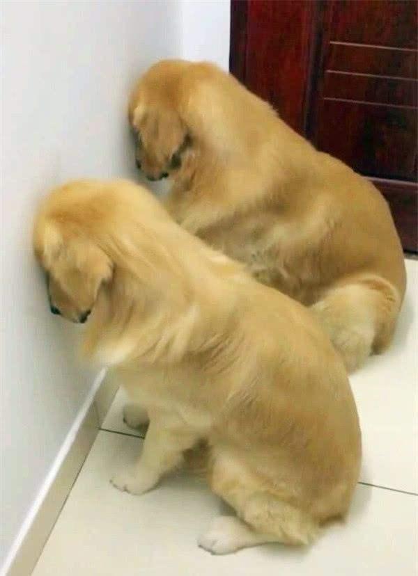 20221115134726_70648