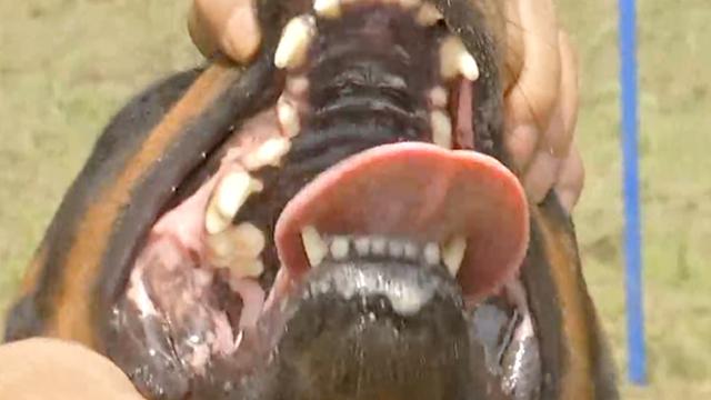 20221115154449_15569 20221115154449_15569