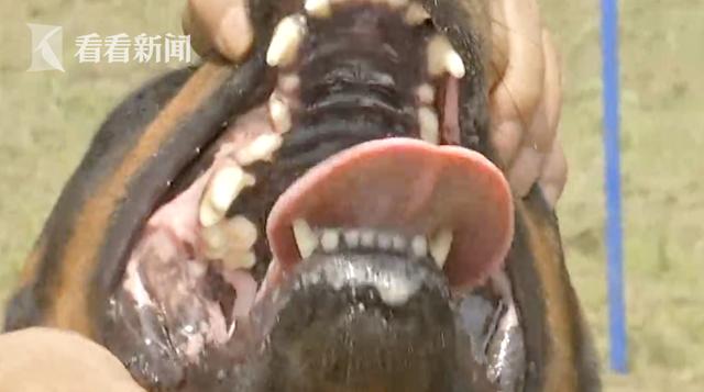 20221115154450_37573 20221115154450_37573