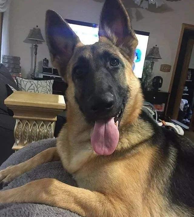 20221115155304_16786 20221115155304_16786