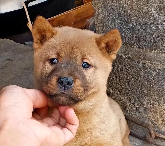 20221115155304_68020 20221115155304_68020