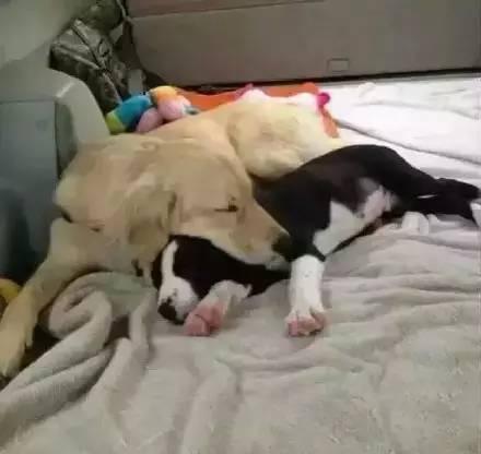 20221115190002_19406