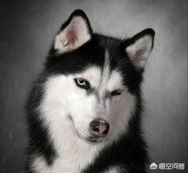 20221115205749_17582